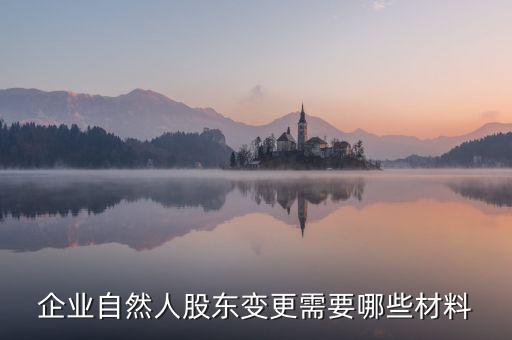 變更自然人登記業(yè)務(wù)需要帶什么，企業(yè)自然人股東變更需要哪些材料