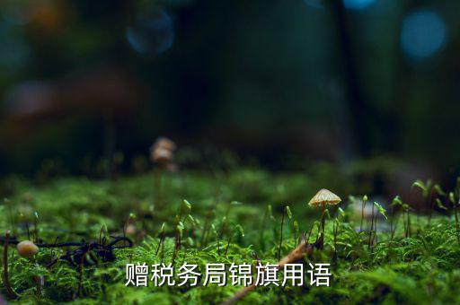 送錦旗給稅局可以寫什么內(nèi)容，贈(zèng)稅務(wù)局錦旗用語(yǔ)