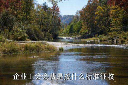 工會(huì)按什么征收，企業(yè)工會(huì)會(huì)費(fèi)是按什么標(biāo)準(zhǔn)征收