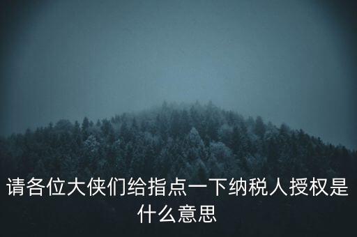 納稅人獲得感是什么意思，請(qǐng)各位大俠們給指點(diǎn)一下納稅人授權(quán)是什么意思