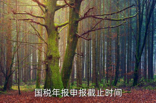 新疆國稅申報11月的什么時候結束，國稅年報申報截止時間