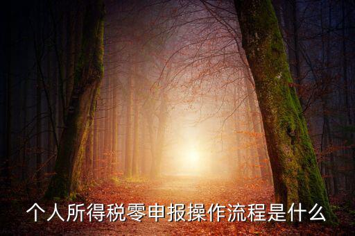 扣繳稅款登記主要流程是什么，納稅流程是怎樣的