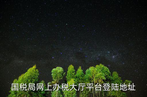 國稅網(wǎng)什么網(wǎng)站可以登錄，河北國稅網(wǎng)上辦稅服務廳用戶登錄地址