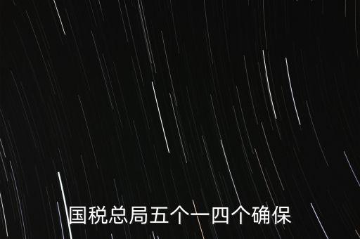 稅務(wù)局五個(gè)一是什么時(shí)候，國稅總局五個(gè)一四個(gè)確保
