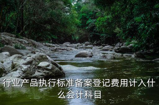 備案費(fèi)入什么科目，行業(yè)產(chǎn)品執(zhí)行標(biāo)準(zhǔn)備案登記費(fèi)用計(jì)入什么會(huì)計(jì)科目