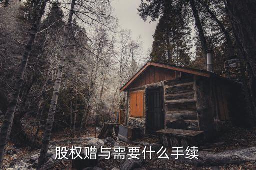 股權贈與稅務局需要什么手續(xù)，2012年股權轉(zhuǎn)讓稅務局所需資料是哪些