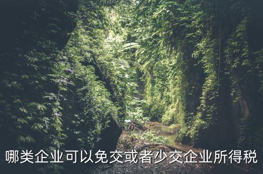什么情況下企業(yè)可以減免稅收，哪類企業(yè)可以免交或者少交企業(yè)所得稅