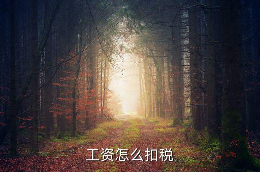 員工工資中的稅是按什么扣的，工資怎么扣稅