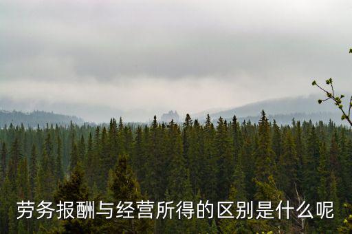 什么是經(jīng)營所得，個體工商戶的生產(chǎn)經(jīng)營所得是指什么