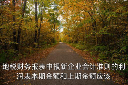 地稅利潤表的上期金額指什么，新會計(jì)制度下利潤表中本期金額和上期金額是什么意思