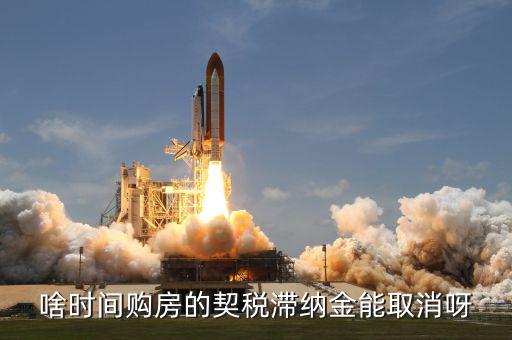 契稅什么時候扣掉，國稅和地稅繳稅期限是什么時候
