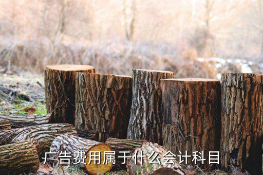廣告宣傳費屬于什么費用，宣傳費計入什么科目