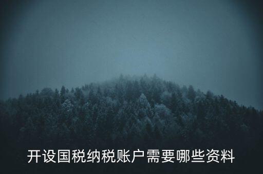 開國稅都需要帶什么資料，開設(shè)國稅納稅賬戶需要哪些資料