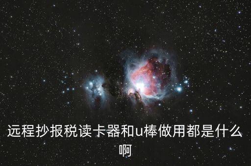 遠(yuǎn)程抄報稅讀卡器和u棒做用都是什么啊