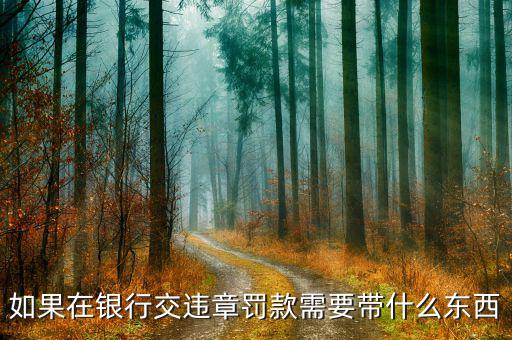 銀行端查詢繳款需帶什么，銀行端查詢繳稅業(yè)務(wù)如何辦理