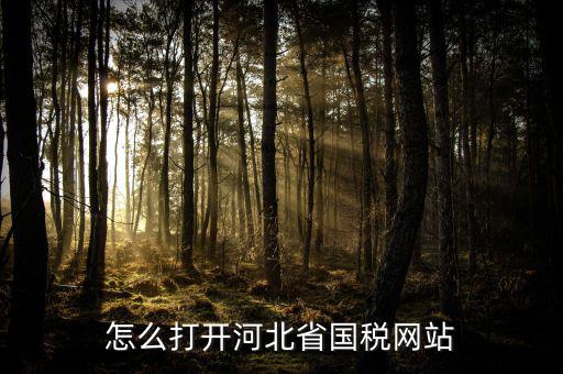 河北稅務(wù)官網(wǎng)是什么意思，怎么打開(kāi)河北省國(guó)稅網(wǎng)站