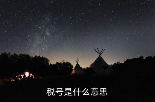 金稅盤企業(yè)稅號是什么意思，公司稅號是什么