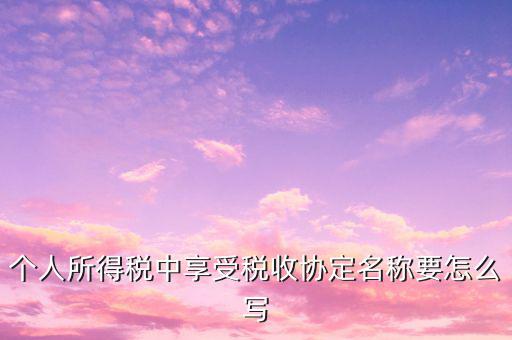 個(gè)人所得稅中享受稅收協(xié)定名稱要怎么寫(xiě)