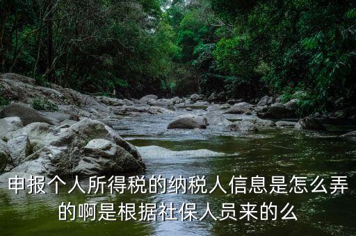納稅人信息包括什么，申報個人所得稅的納稅人信息是怎么弄的啊是根據(jù)社保人員來的么