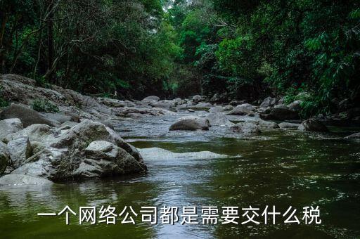 互聯(lián)網(wǎng)公司交什么稅，做互聯(lián)網(wǎng)服務(wù)行業(yè)要交多少稅