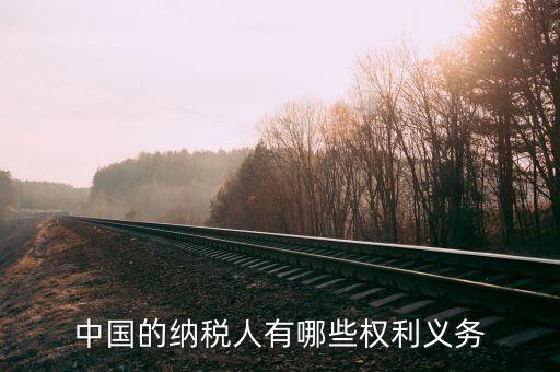 納稅服務(wù)什么權(quán)，中國的納稅人有哪些權(quán)利義務(wù)