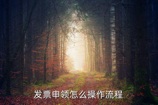 我想申請(qǐng)票種的流程是什么樣的，小規(guī)模申請(qǐng)專(zhuān)票的流程是什么