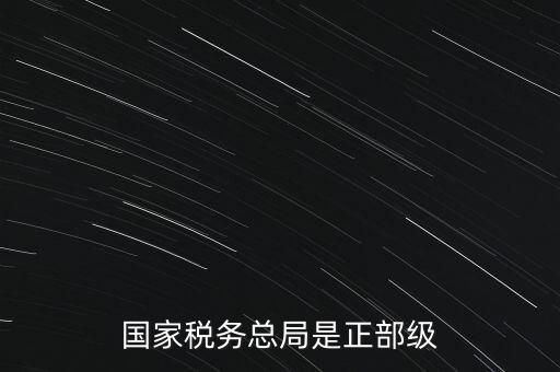 稅務(wù)大廳主任什么級(jí)別，金河鎮(zhèn)稅務(wù)務(wù)局局長是什么級(jí)別