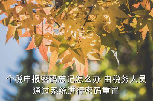 地稅重置密碼需要什么，重置個稅申報密碼需要什么
