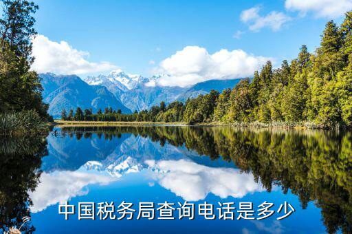 福建國稅查找打什么電話，國稅電話