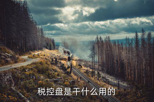 稅控盤干什么的，稅控盤是干什么的