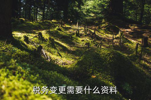 稅務(wù)機(jī)構(gòu)改革需要什么，稅務(wù)變更需要什么資料