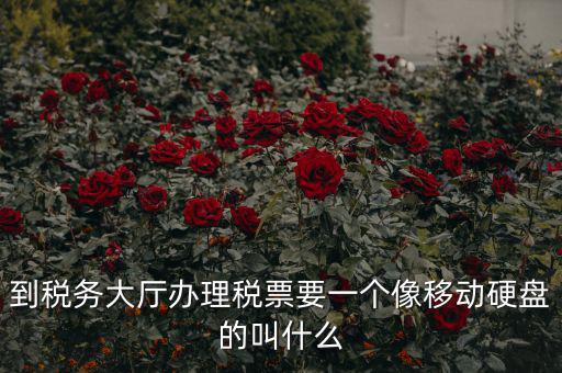 稅務(wù)磁盤什么樣，我要正確的答案