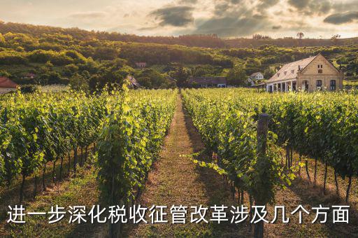 稅務改革 發(fā)展要什么，論述個人所得稅改革的基本原則