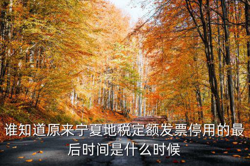 地稅餐費(fèi)發(fā)票什么時(shí)間停用的，地稅發(fā)票從什么時(shí)候開(kāi)始不能用了