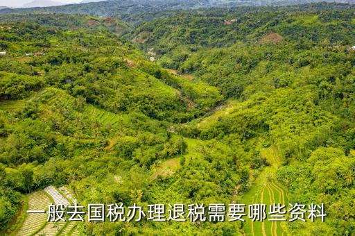 稅務局退稅要什么手續(xù)，一般去國稅辦理退稅需要哪些資料
