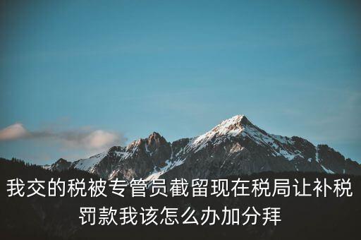 稅務(wù)人員截留稅款受什么處分，我交的稅被專管員截留現(xiàn)在稅局讓補(bǔ)稅罰款我該怎么辦加分拜