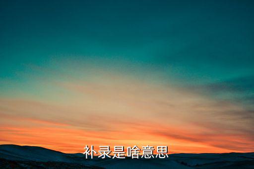 發(fā)票補錄是什么意思，補錄是什么意思