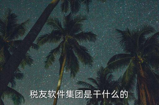 稅友軟件是干什么的，稅友的稅友軟件集團