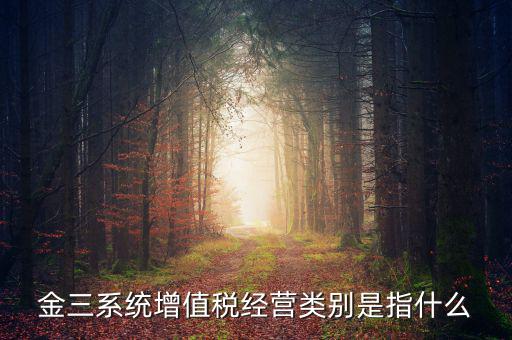 金三稅都包括什么，金稅三期是什么意思
