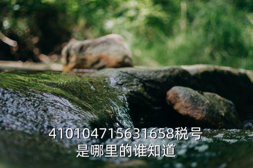 河南省的稅號是什么意思，410104715631658稅號是哪里的誰知道