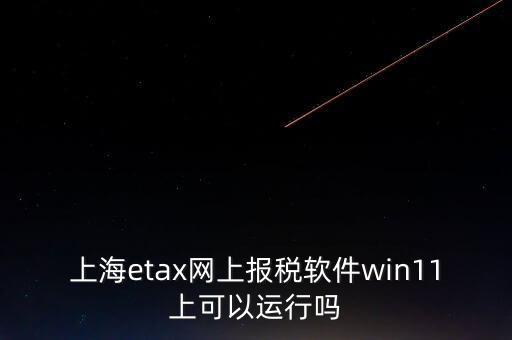 上海網(wǎng)上報(bào)稅什么軟件，上海etax網(wǎng)上報(bào)稅軟件win11上可以運(yùn)行嗎