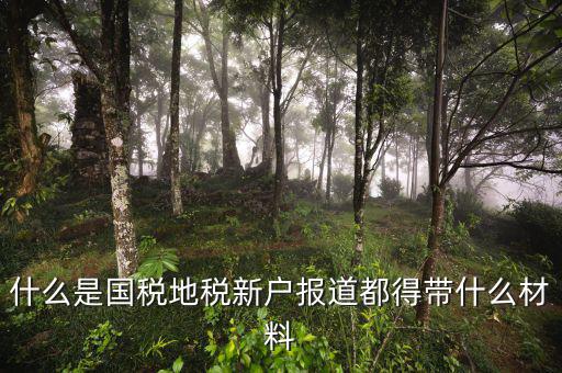 國地稅報道是什么意思，什么是國稅地稅新戶報道都得帶什么材料