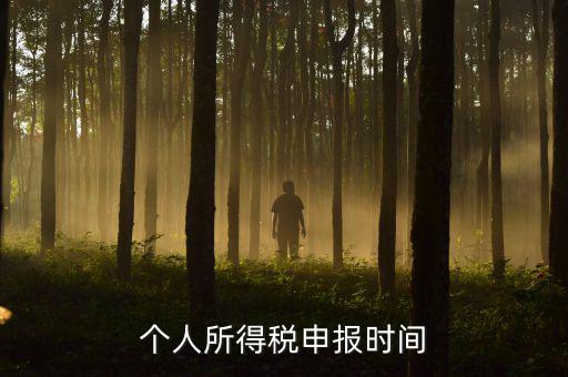 代扣代繳的個稅什么時候申報，個人所得稅申報時間