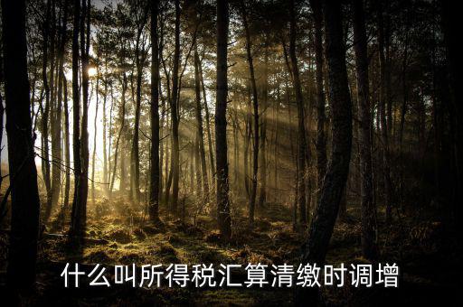 匯算清繳調增指什么，匯算清繳時全額調增利息支出說非業(yè)務往來占用資金是什么意思