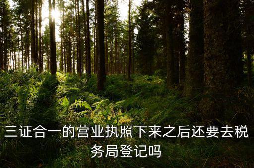 辦完三證合一 要去稅局做什么，三證合一后還需要去國地稅做些什么啊