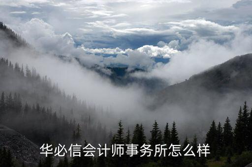 河南華必信稅務(wù)師事務(wù)所什么資質(zhì)，稅務(wù)師事務(wù)所有什么好處