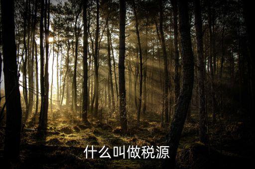 稅源標志是什么，什么叫做稅源