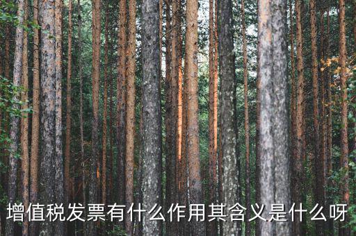 要發(fā)票有什么用，發(fā)票有哪些作用呢