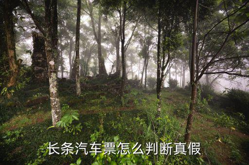 長(zhǎng)條國(guó)稅車票什么樣子，國(guó)稅長(zhǎng)途汽車票什么樣