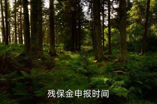 2016殘保金什么時(shí)候交，殘保金是一年一交嗎